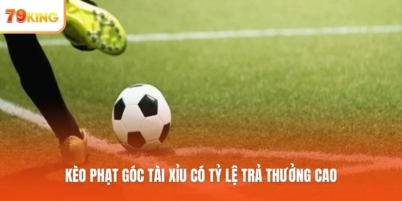 Kèo phạt góc tài xỉu có tỷ lệ trả thưởng cao